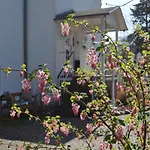 Konukevi Frohsinn Auf Ruegen 4*