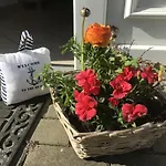 Guest house Frohsinn Auf Ruegen Sellin (Rugen)