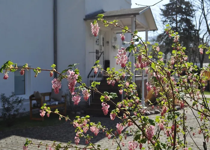 Pensjonat Frohsinn Auf Ruegen 4*