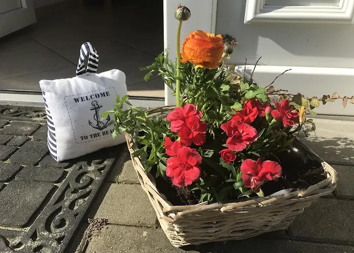 Pensjonat Frohsinn Auf Ruegen Sellin (Rugen)